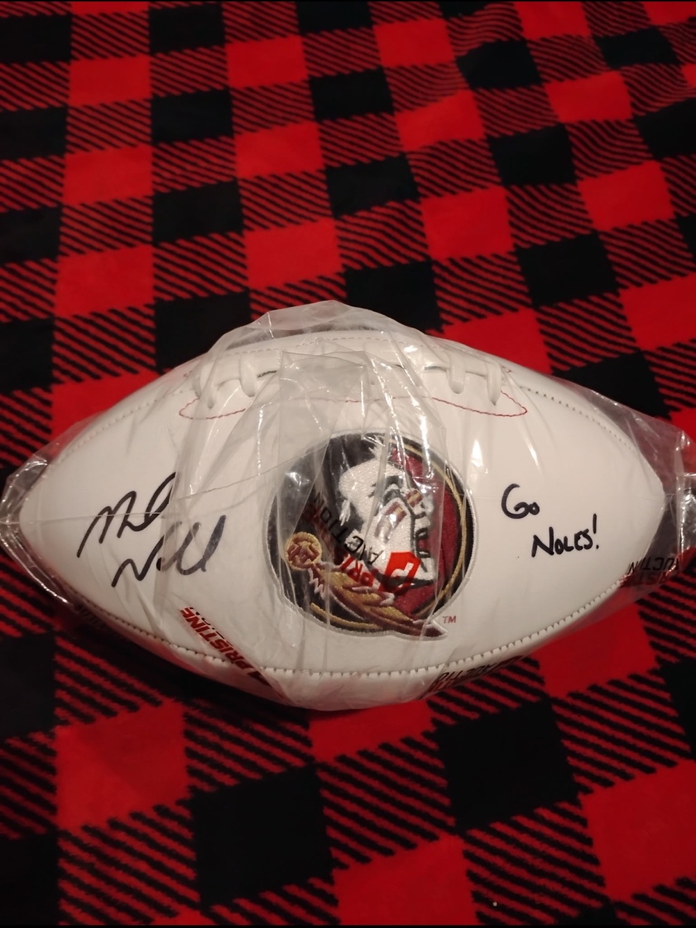 Autographed White Collegiate Logo Football - Florida State Seminoles Mike Norwel